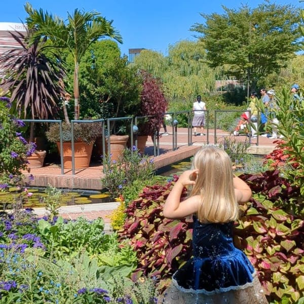 Discover lakeside charm, beautiful parks, and top-tier cultural spots perfect for family outings.