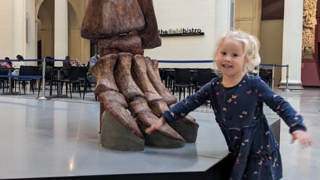 Stand in the shadow of the world's largest dinosaurs, SUE the T. rex and Máximo the Titanosaur, and let the kids explore in the Crown Family PlayLab.