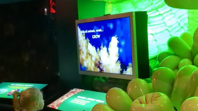 A world-class aquarium on Chicago's Museum Campus, famous for its Caribbean Reef tank and Abbott Oceanarium. See our essential tips on parking and Illinois Resident Free Days.